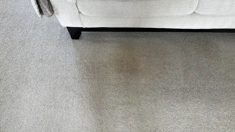 Carpet after ApexClean hot-water extraction — clean