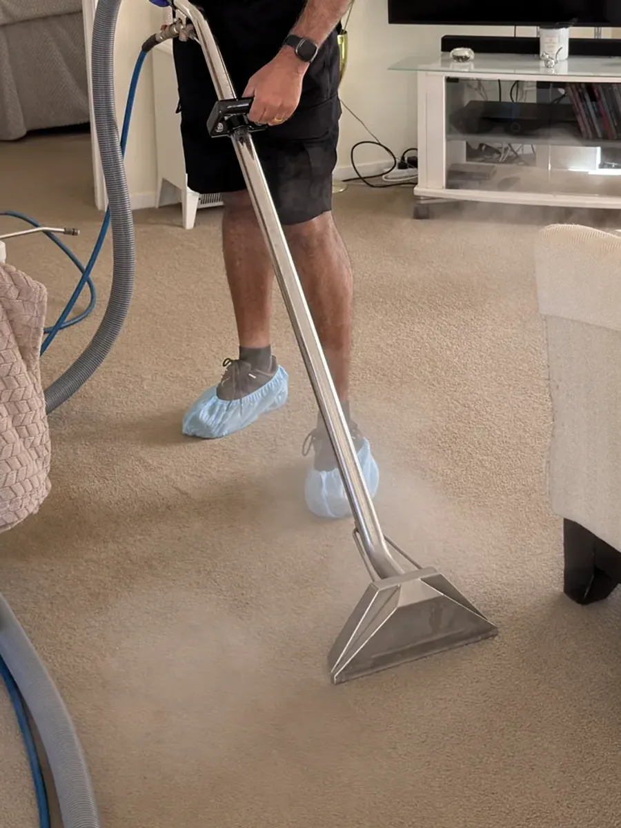 ApexClean steam-cleaning a lounge carpet with a hot-water extraction wand in an Auckland home