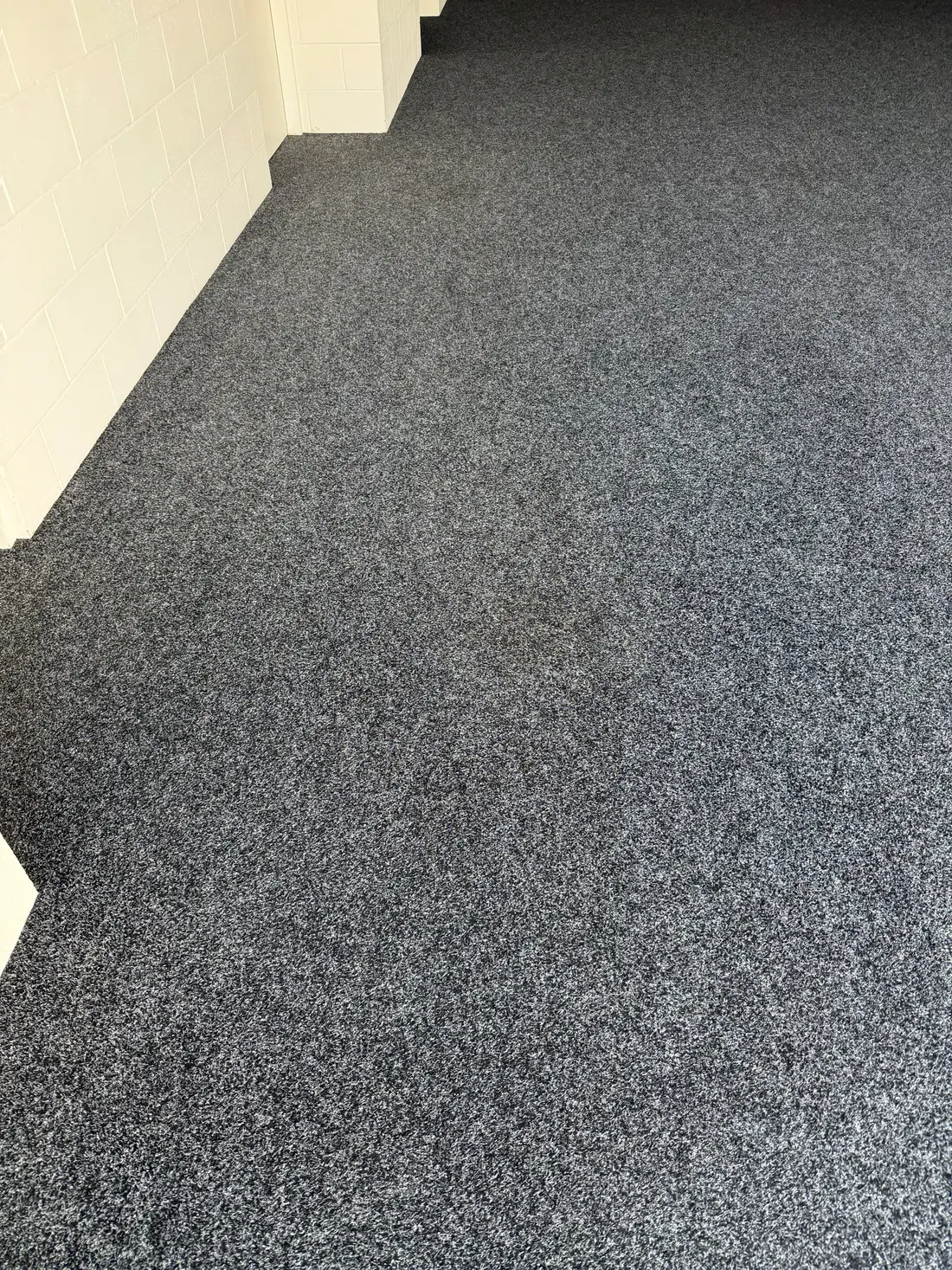 Close-up of the cleaned garage carpet pile, short and dense