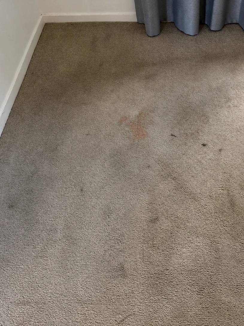 Master bedroom carpet before cleaning, with an orange fizzy-drink stain and general grey soiling across the pile