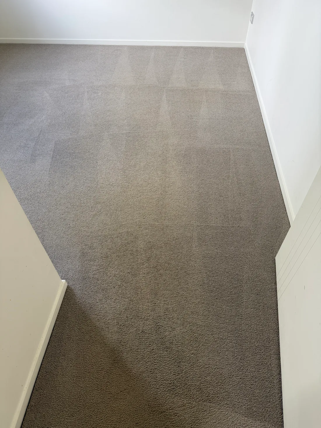 The same carpet after cleaning and extraction