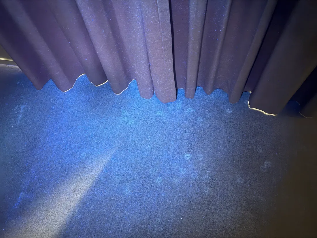 A third area of carpet under ultraviolet light during the inspection