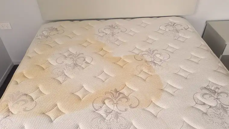 Mattress before cleaning — soiled