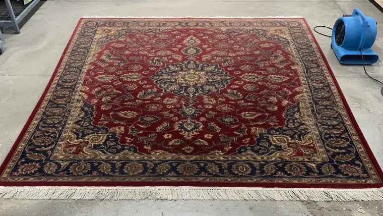 Rug after ApexClean hot-water extraction — clean