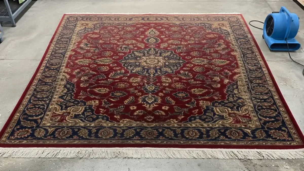 Rug after ApexClean hot-water extraction — clean
