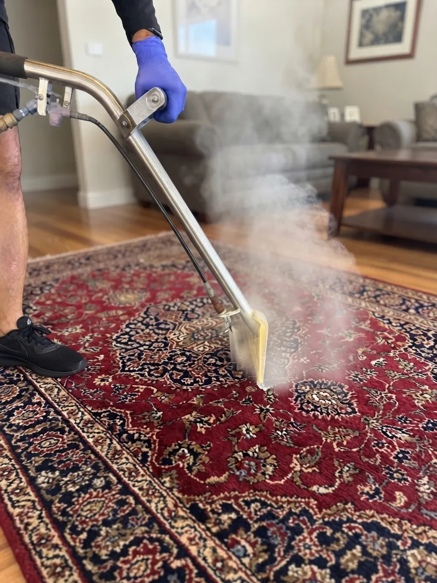An ApexClean technician steam-cleaning a red Persian rug in an Auckland home with a hot-water extraction wand
