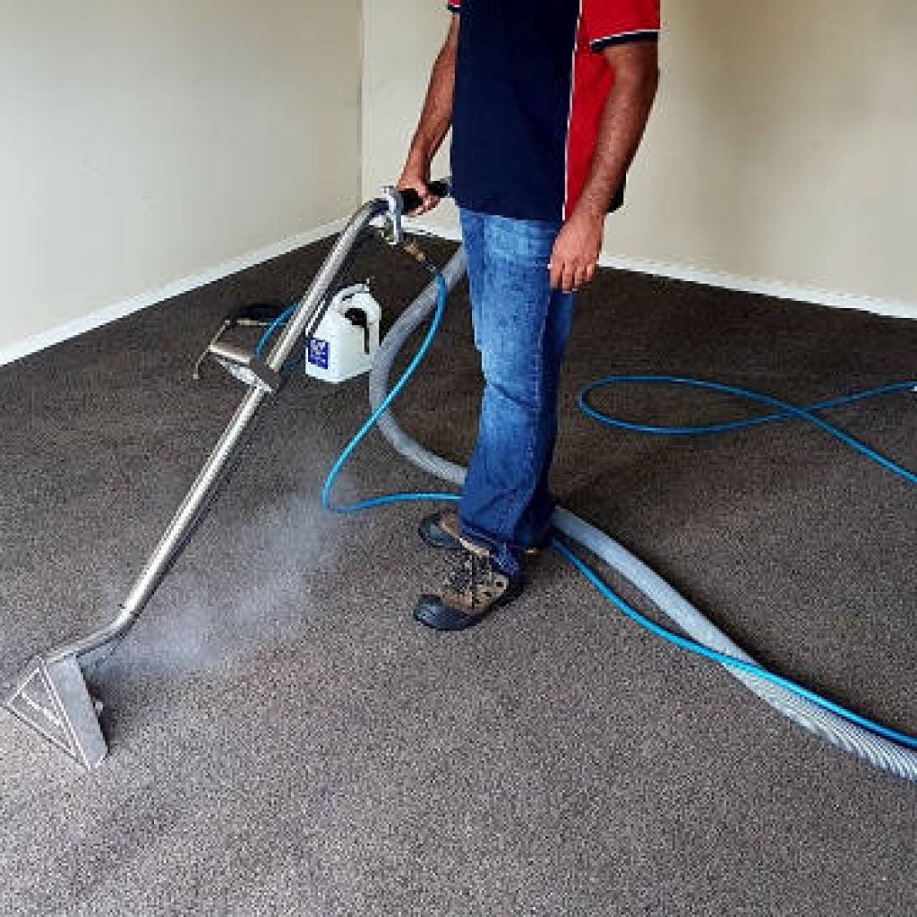 Carpet Cleaning Auckland, Steam-Extraction