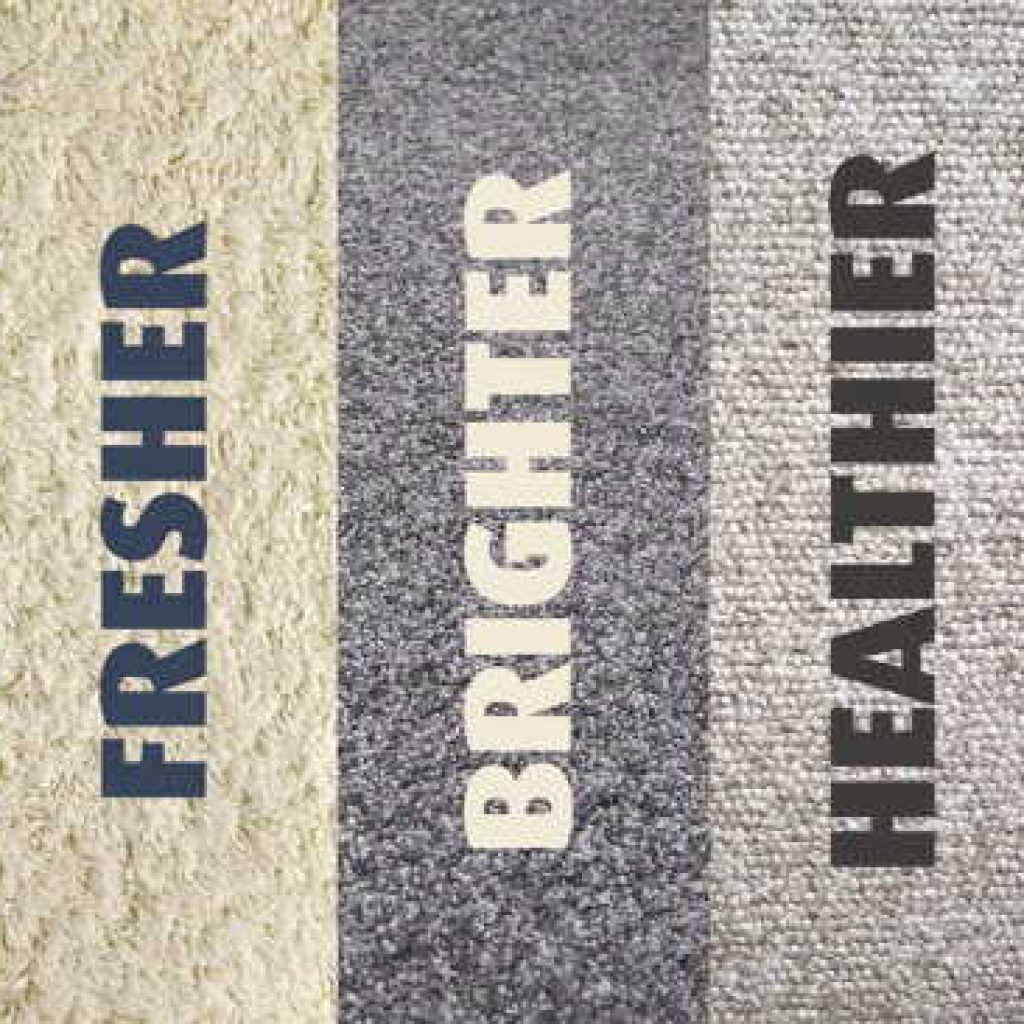Carpet-Cleaning-Auckland-Sommerville