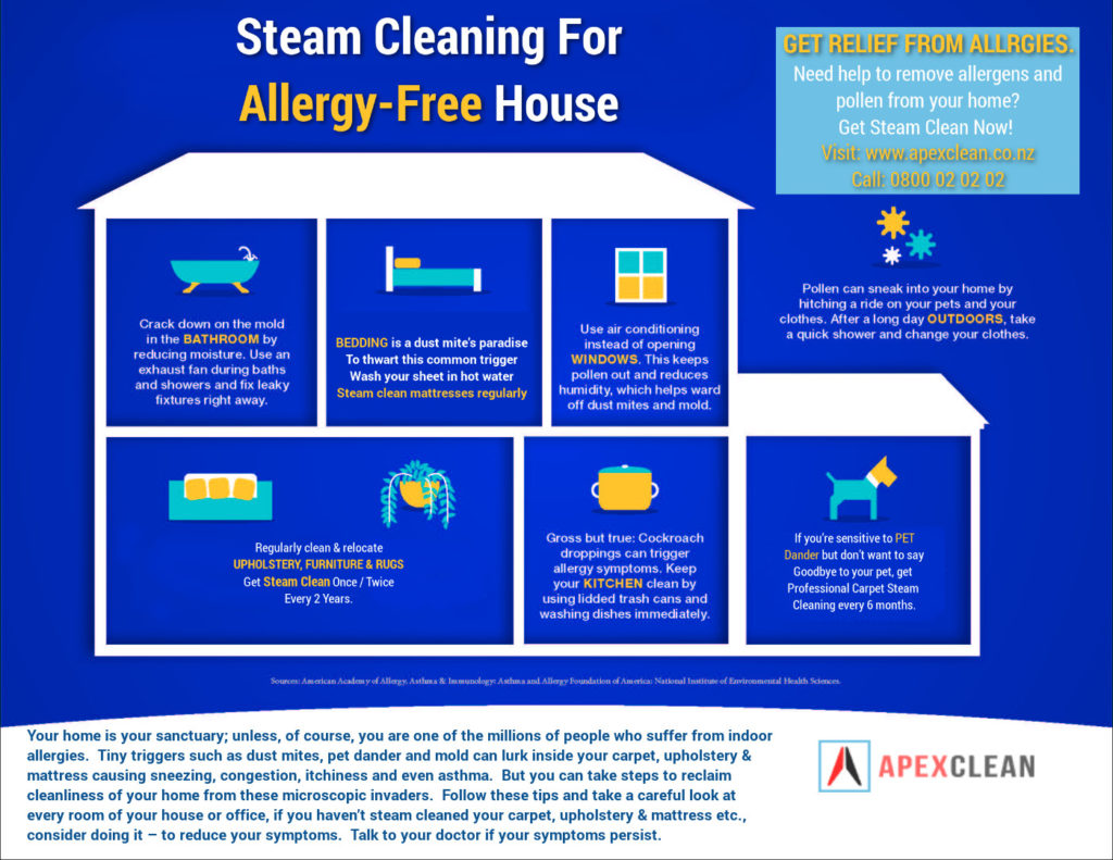 Carpet cleaning te-atatu