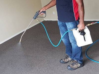 Carpet Cleaning Auckland Pre-Sprayer