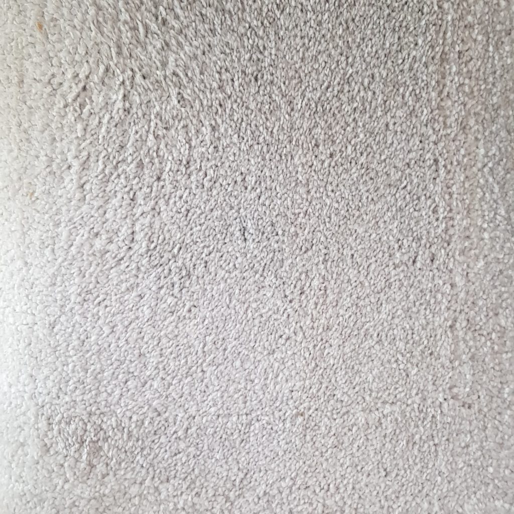 Carpet Cleaning North Shore Auckland, Best Rug & Carpet Steam Cleaner