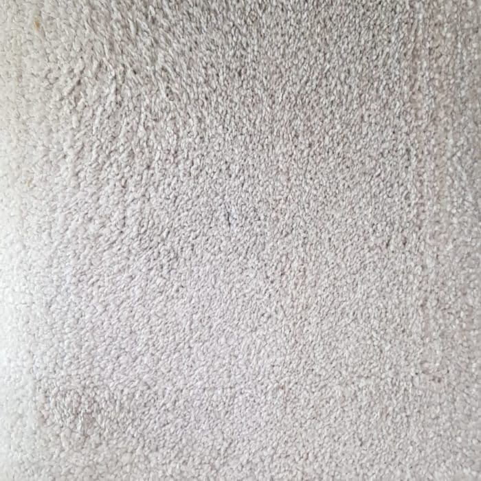 Carpet Cleaning North Shore Auckland, Best Rug & Carpet Steam Cleaner