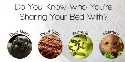 mattress-cleaning-apexclean.co.nz mattress-cleaning-apexclean